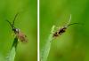 358186 – Photo : Guillaume Huot-Marchand – France (88)